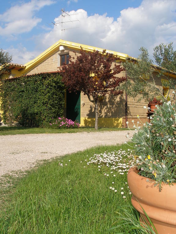 Agriturismo Albarosa-Terre Dell'Amore Марина-ди-Гроссето Номер фото